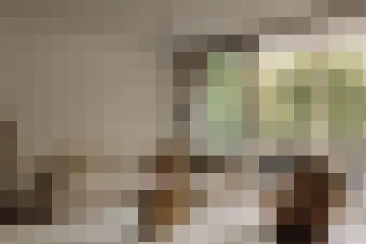 Pieter de Hoochstraat 5 G Amsterdam thumbnail 7