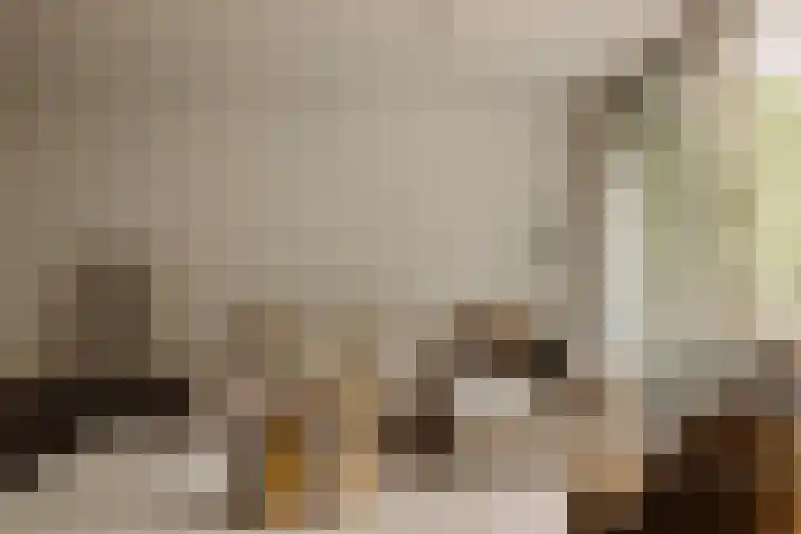 Pieter de Hoochstraat 5 G Amsterdam thumbnail 9