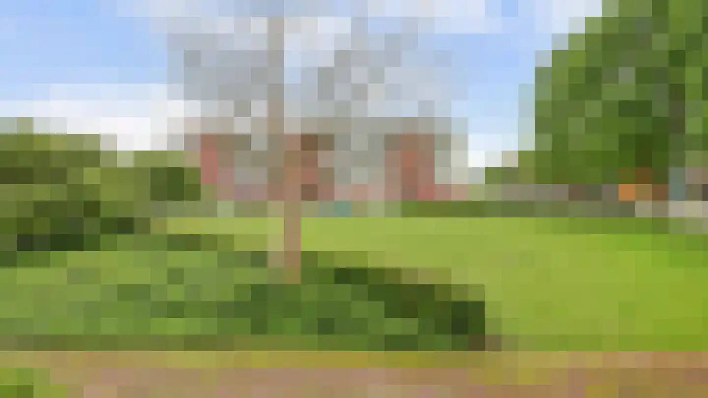 Pieter de Hoochstraat 52 Almelo thumbnail 17