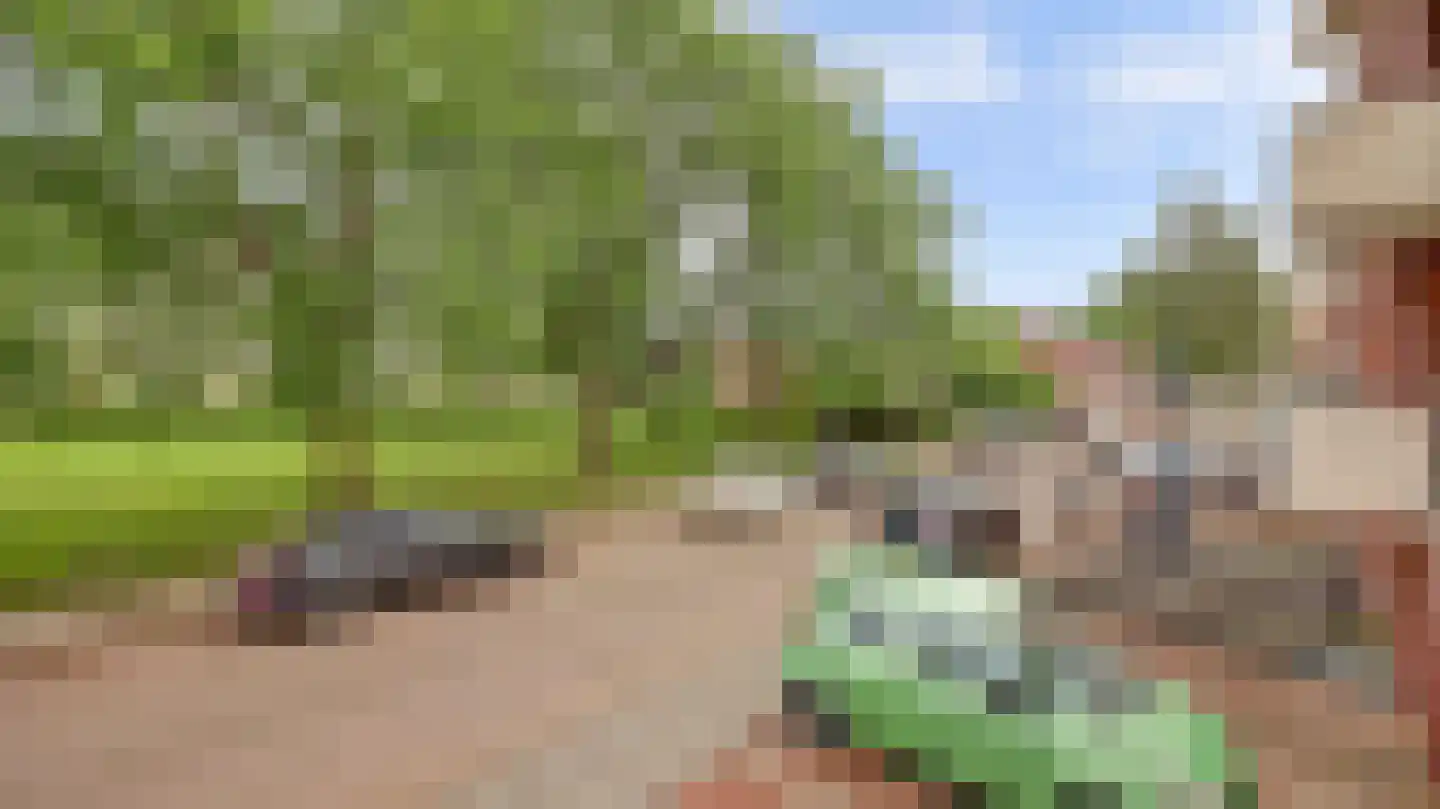 Pieter de Hoochstraat 52 Almelo thumbnail 8