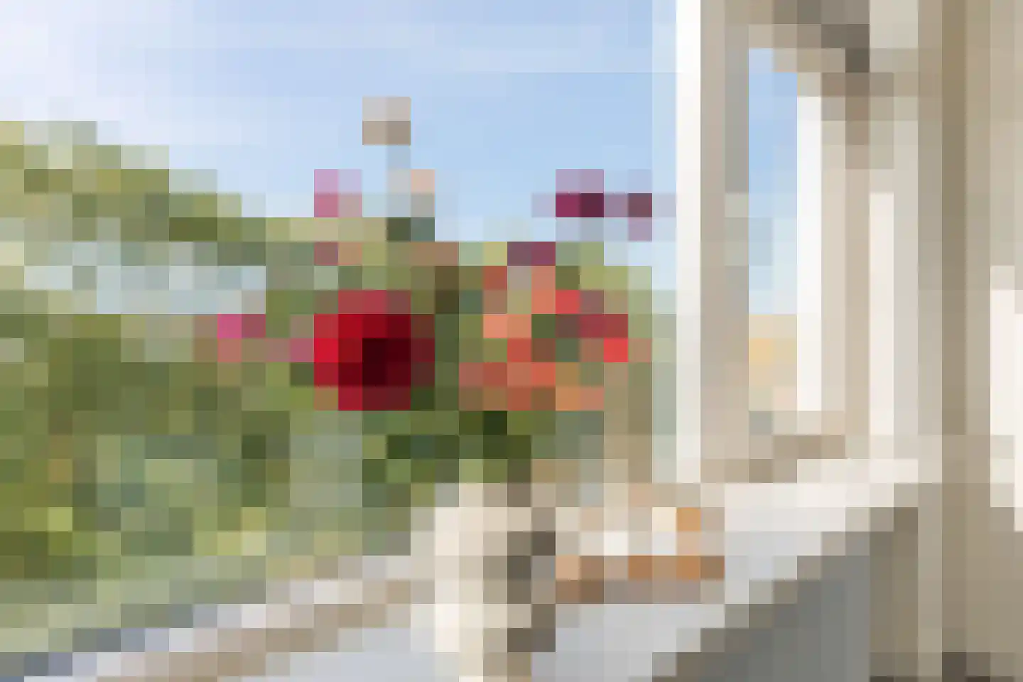 Pieter de Hoochstraat 58 Almelo thumbnail 11