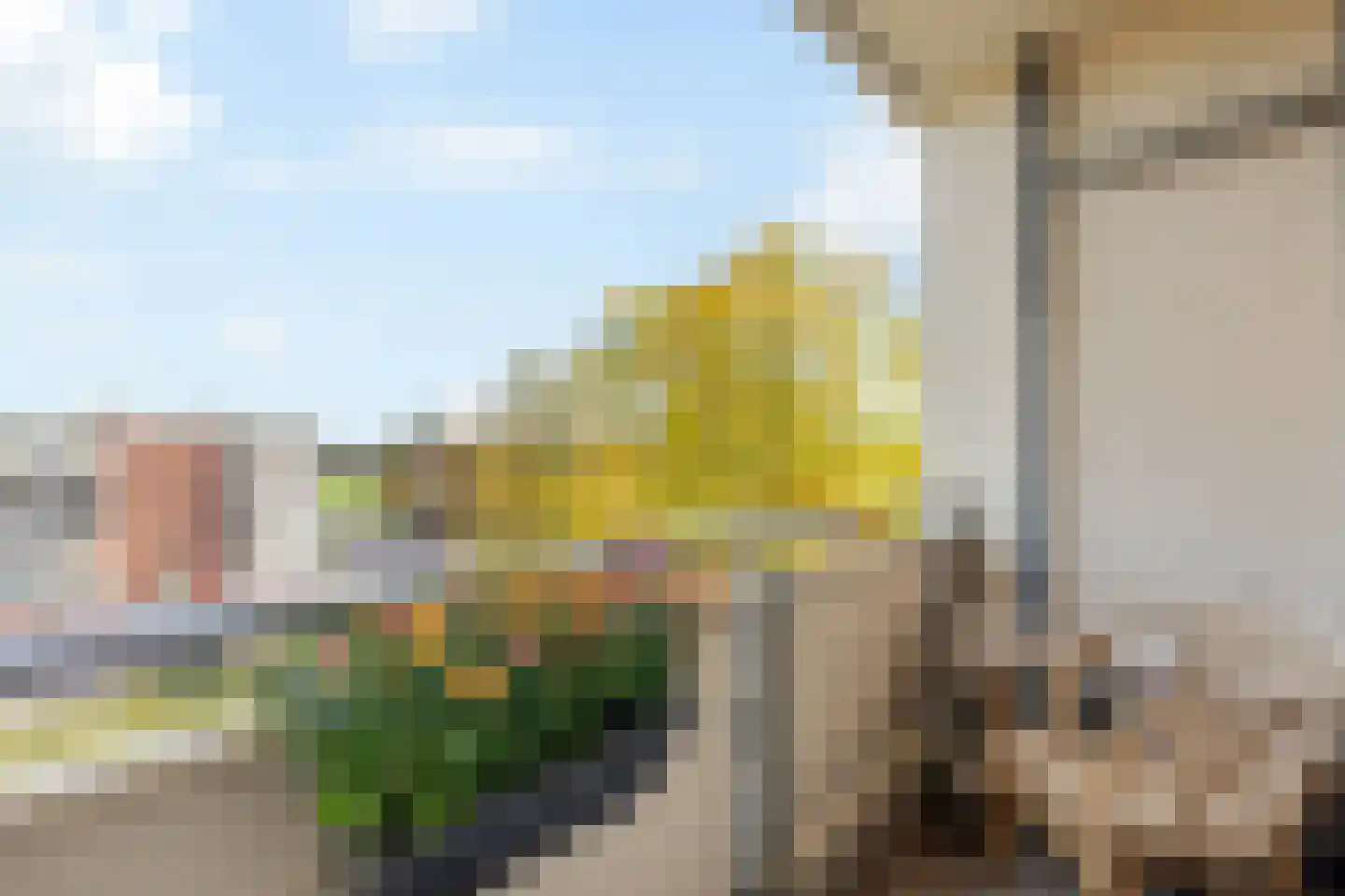 Pieter de Hoochstraat 58 Almelo thumbnail 20