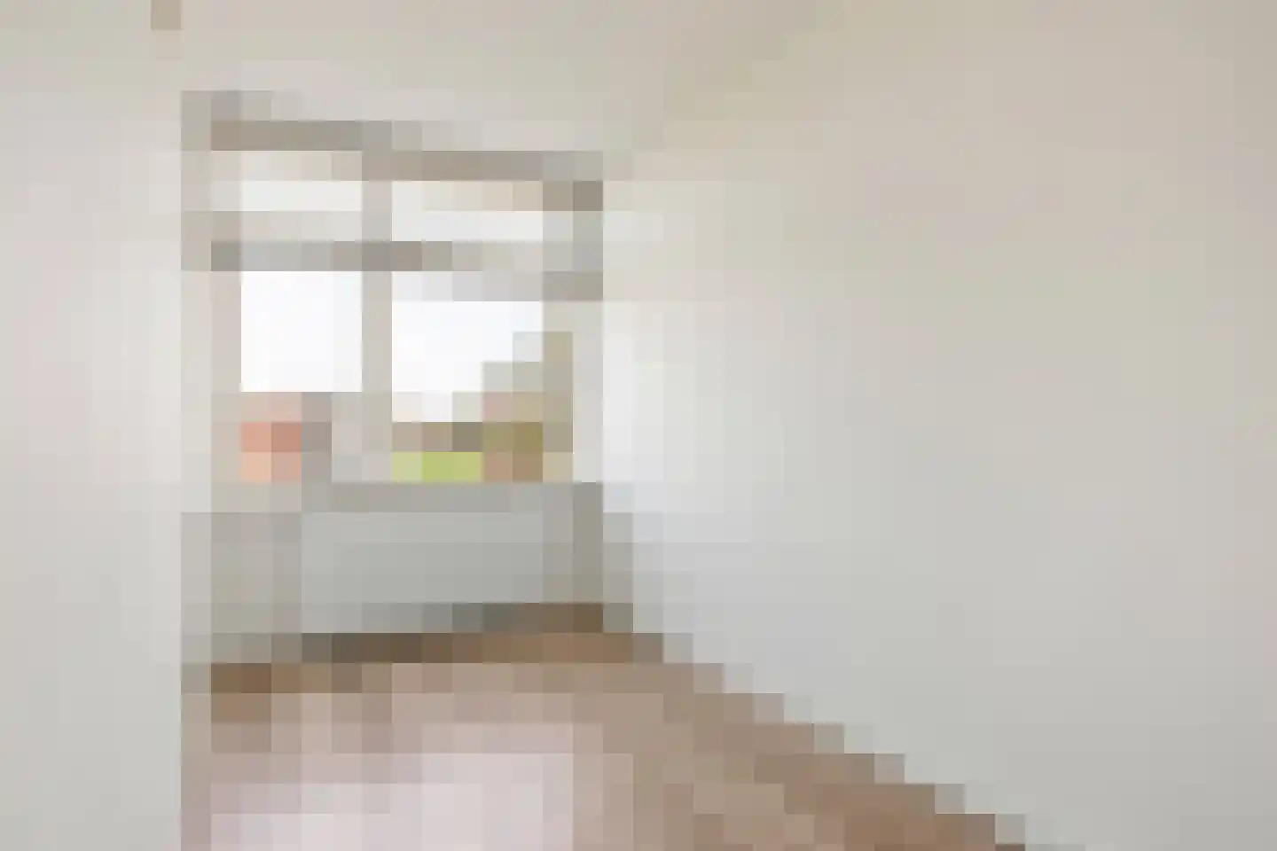 Pieter de Hoochstraat 58 Almelo thumbnail 22
