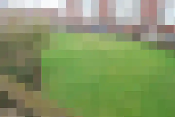 Pieter de Hoochstraat 64 Almelo thumbnail 10