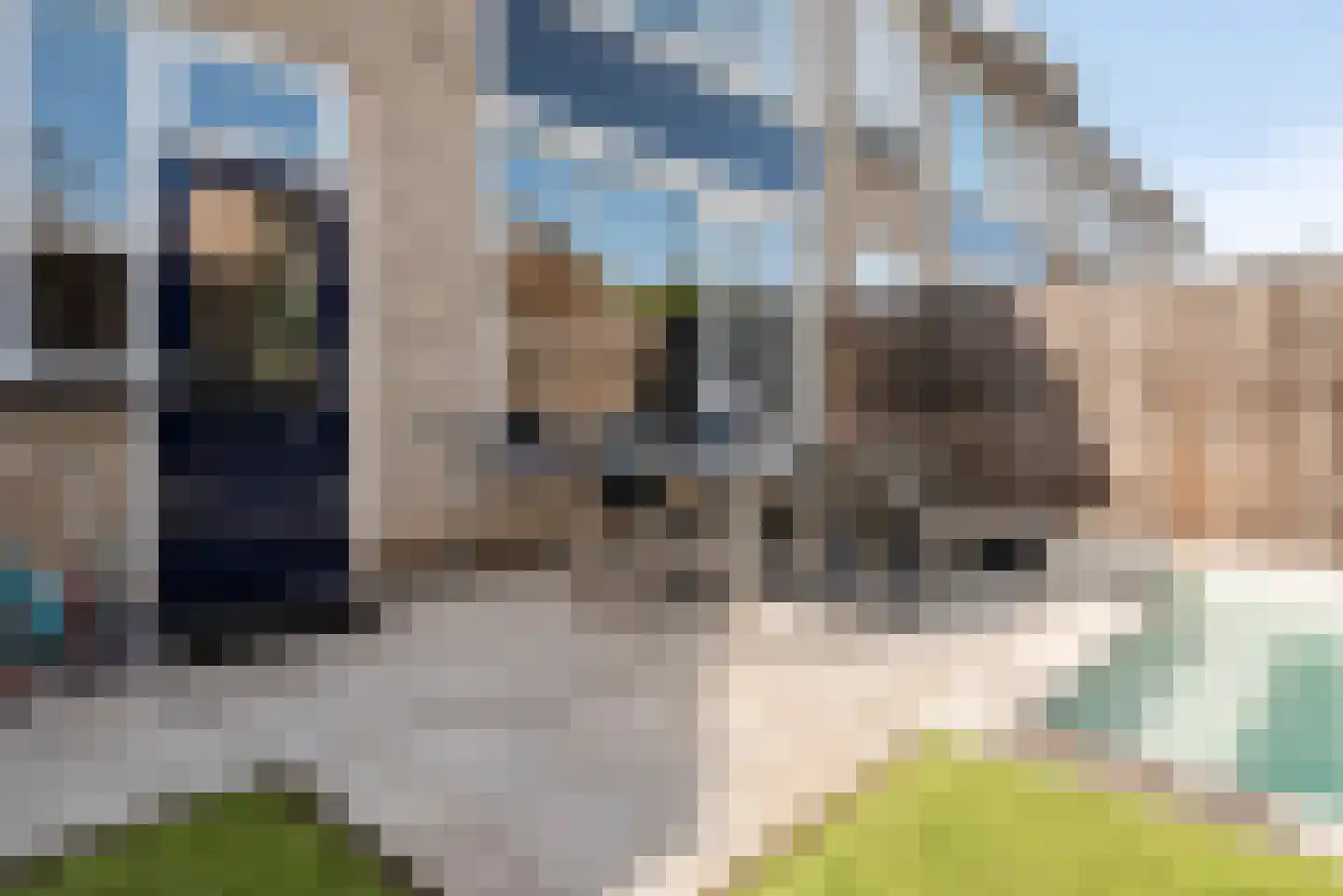 Pieter de Hoochstraat 64 Almelo thumbnail 21