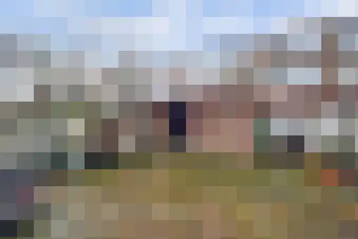 Pieter de Hoochstraat 64 Almelo thumbnail 5