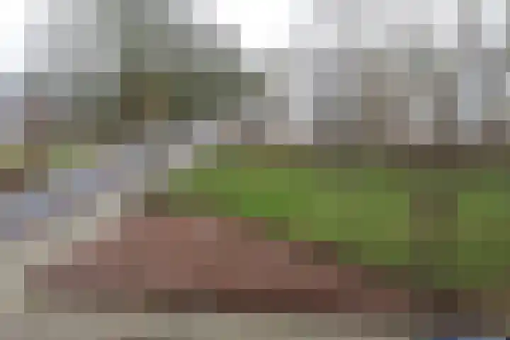 Pieter de Hoochstraat 64 Almelo thumbnail 9