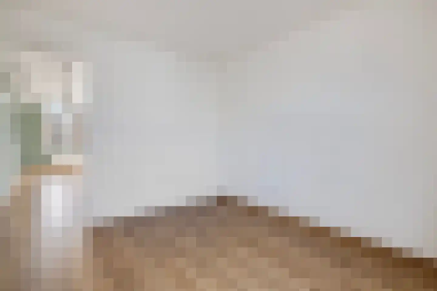 Pieter de Hoochstraat 64 Ridderkerk thumbnail 18