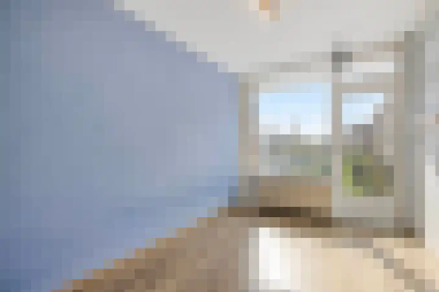 Pieter de Hoochstraat 64 Ridderkerk thumbnail 22