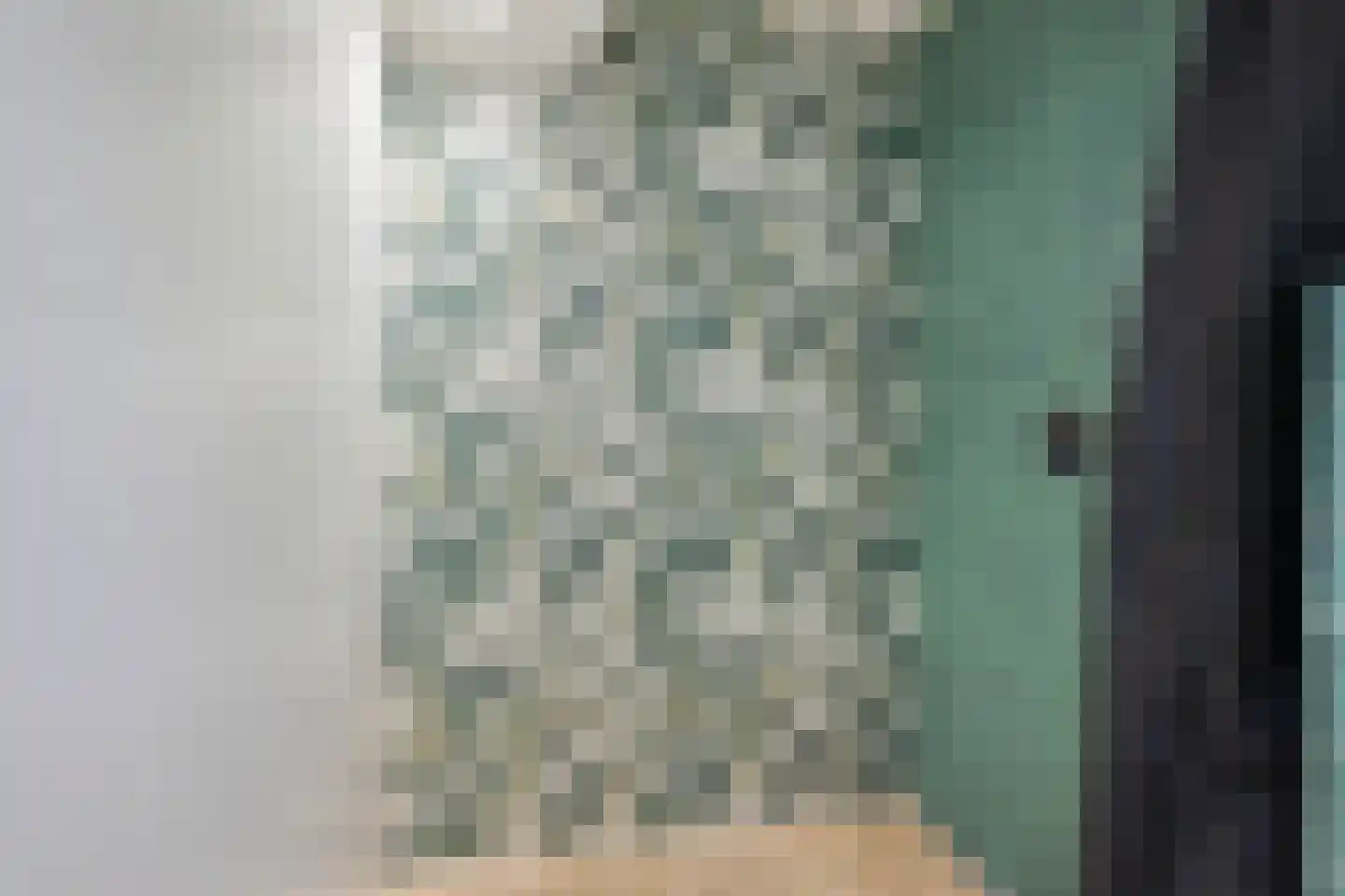Pieter de Hoochstraat 64 Ridderkerk thumbnail 31