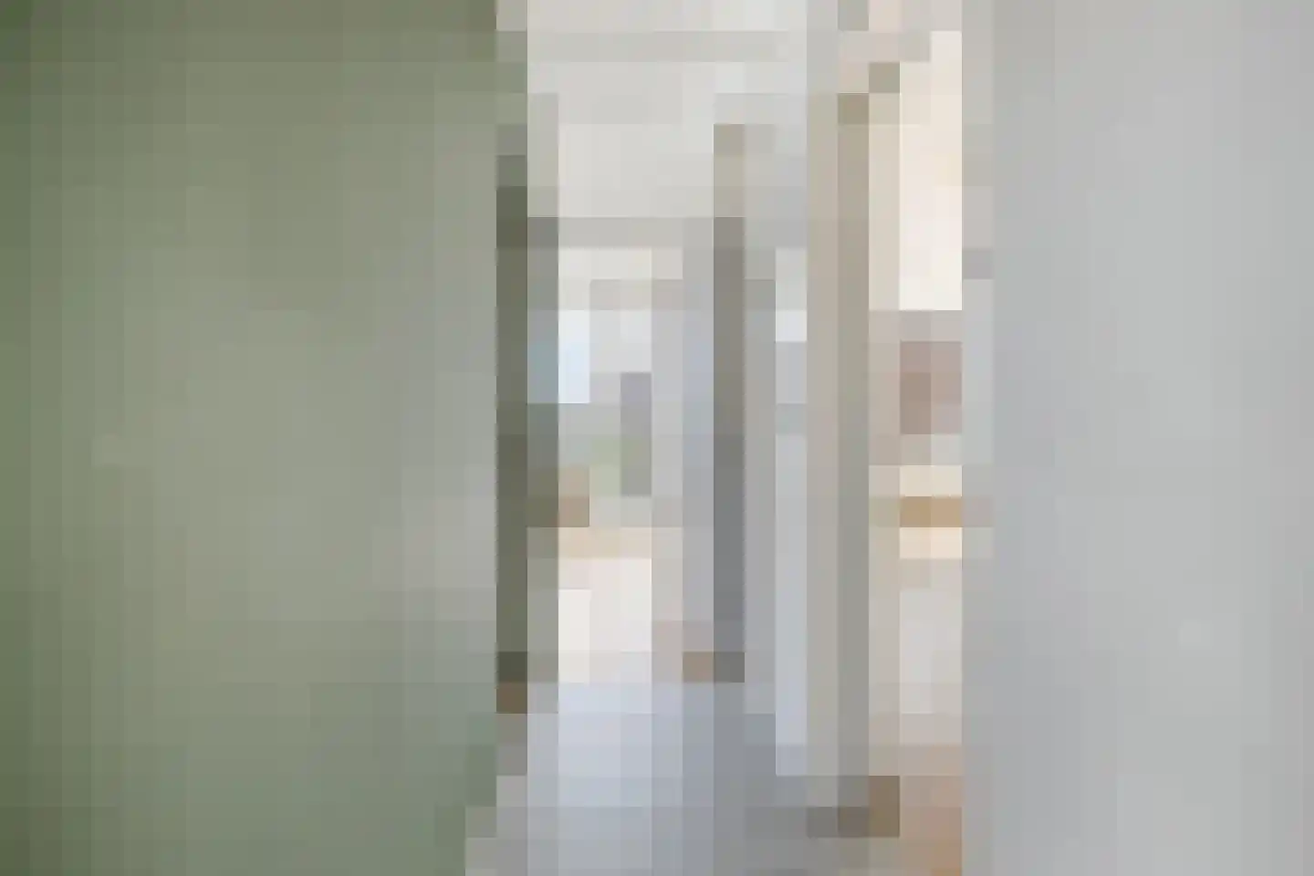 Pieter de Hoochstraat 64 Ridderkerk thumbnail 6