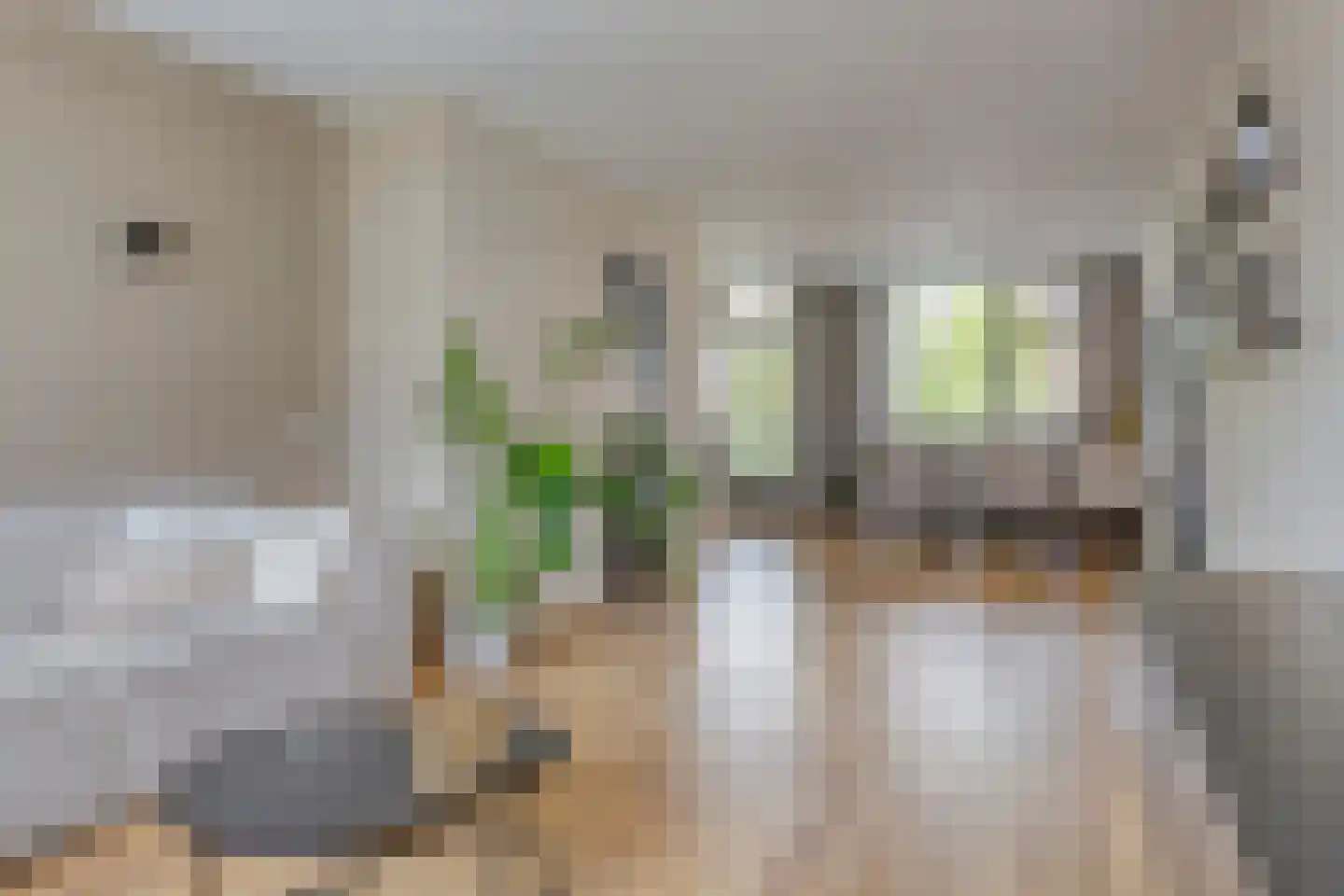 Pieter de Hoochstraat 66 in Ridderkerk