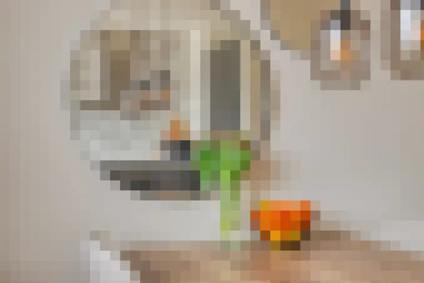 Pieter de Hoochstraat 66 Ridderkerk thumbnail 11