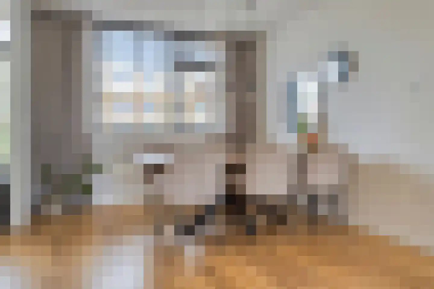 Pieter de Hoochstraat 66 Ridderkerk thumbnail 6