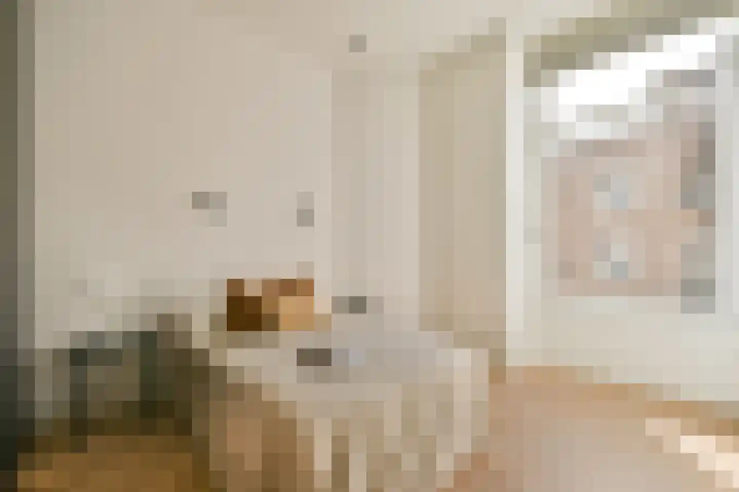 Pieter de Hoochstraat 67 C Amsterdam thumbnail 16