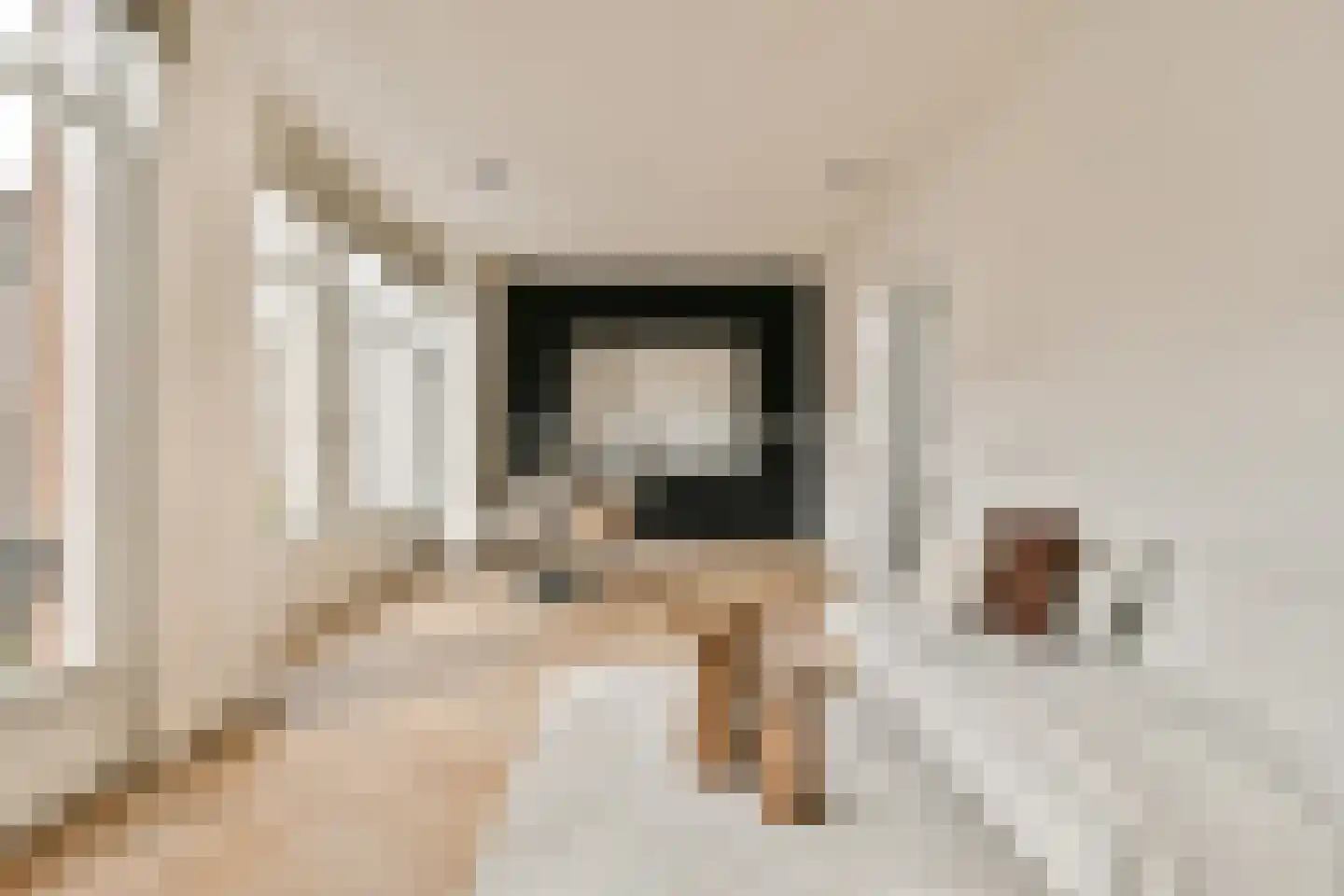 Pieter de Hoochstraat 67 C Amsterdam thumbnail 6