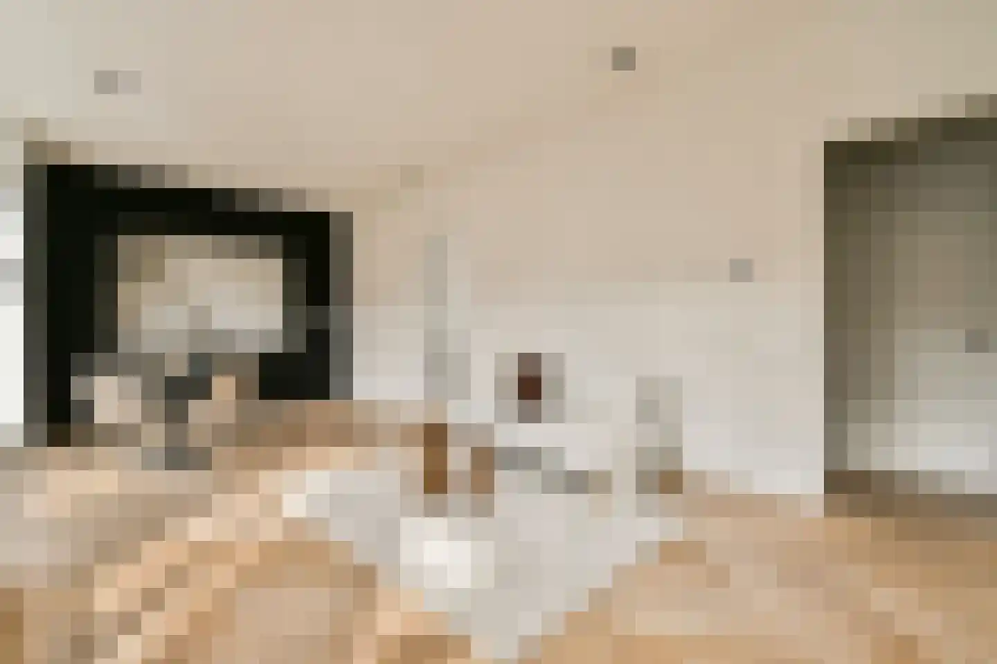 Pieter de Hoochstraat 67 C Amsterdam thumbnail 7