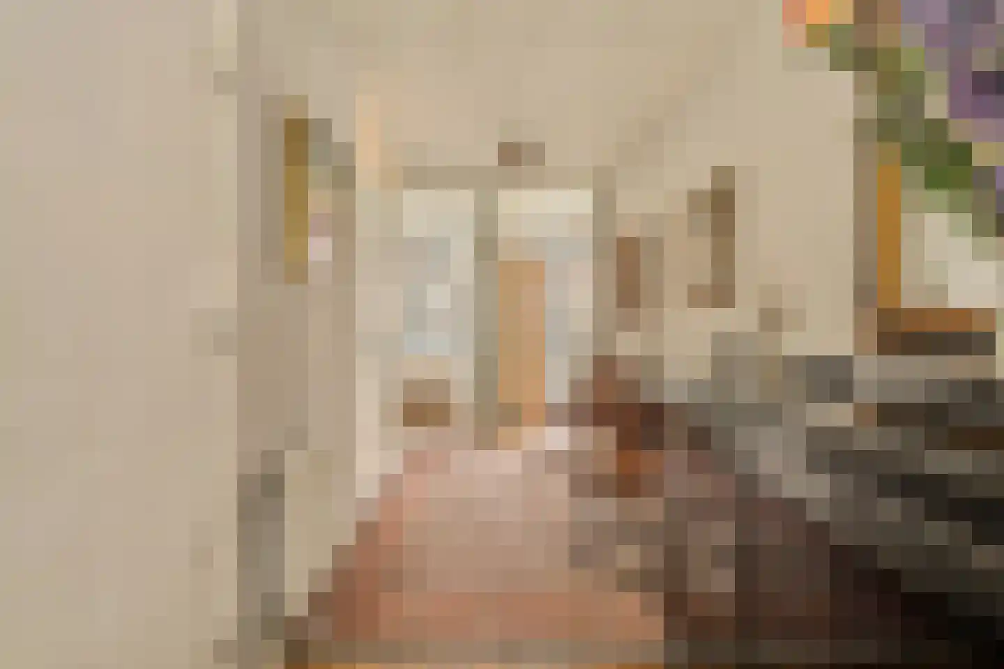 Pieter de Hoochstraat 7 B Amsterdam thumbnail 17
