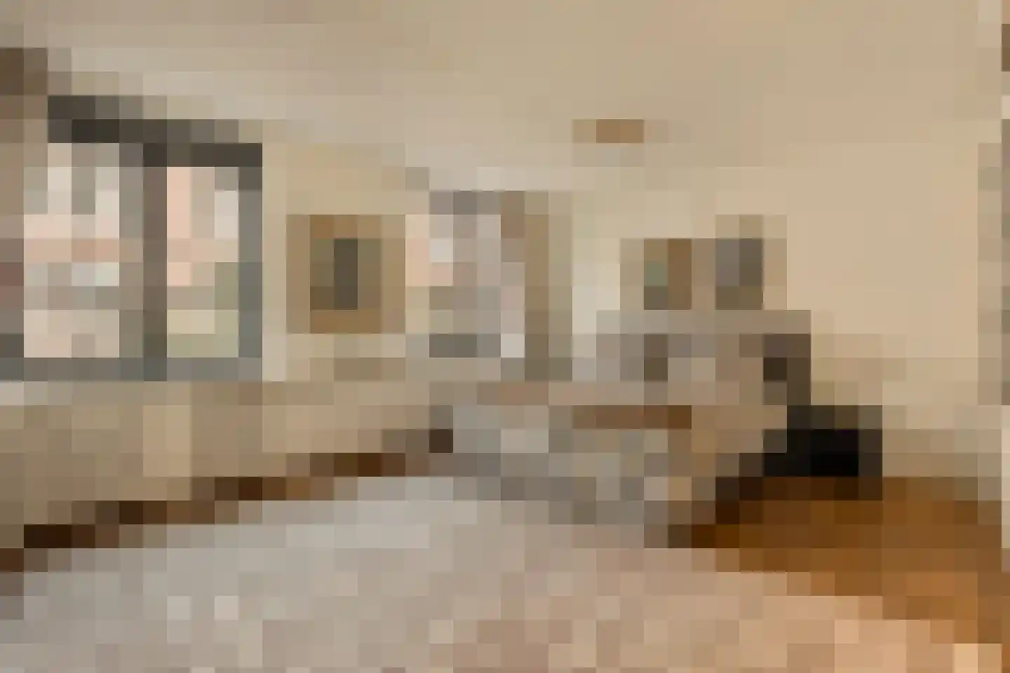 Pieter de Hoochstraat 7 B Amsterdam thumbnail 18