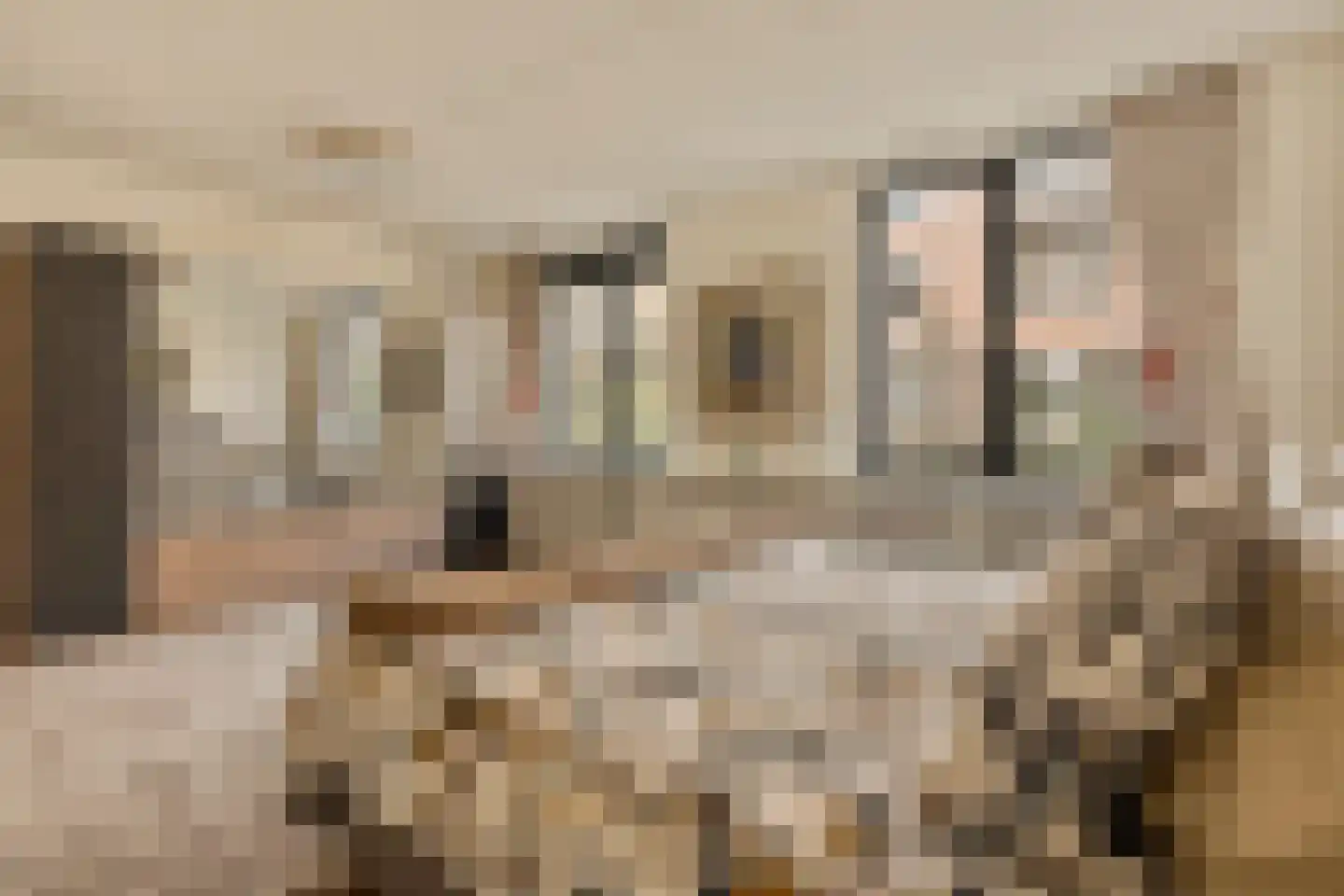 Pieter de Hoochstraat 7 B Amsterdam thumbnail 19