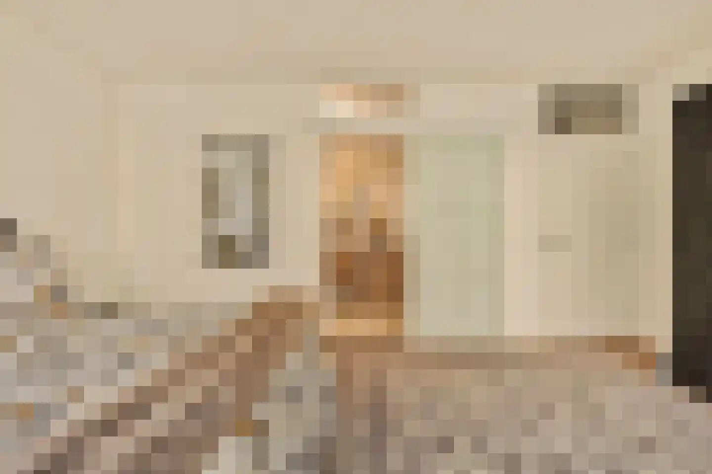Pieter de Hoochstraat 7 B Amsterdam thumbnail 23