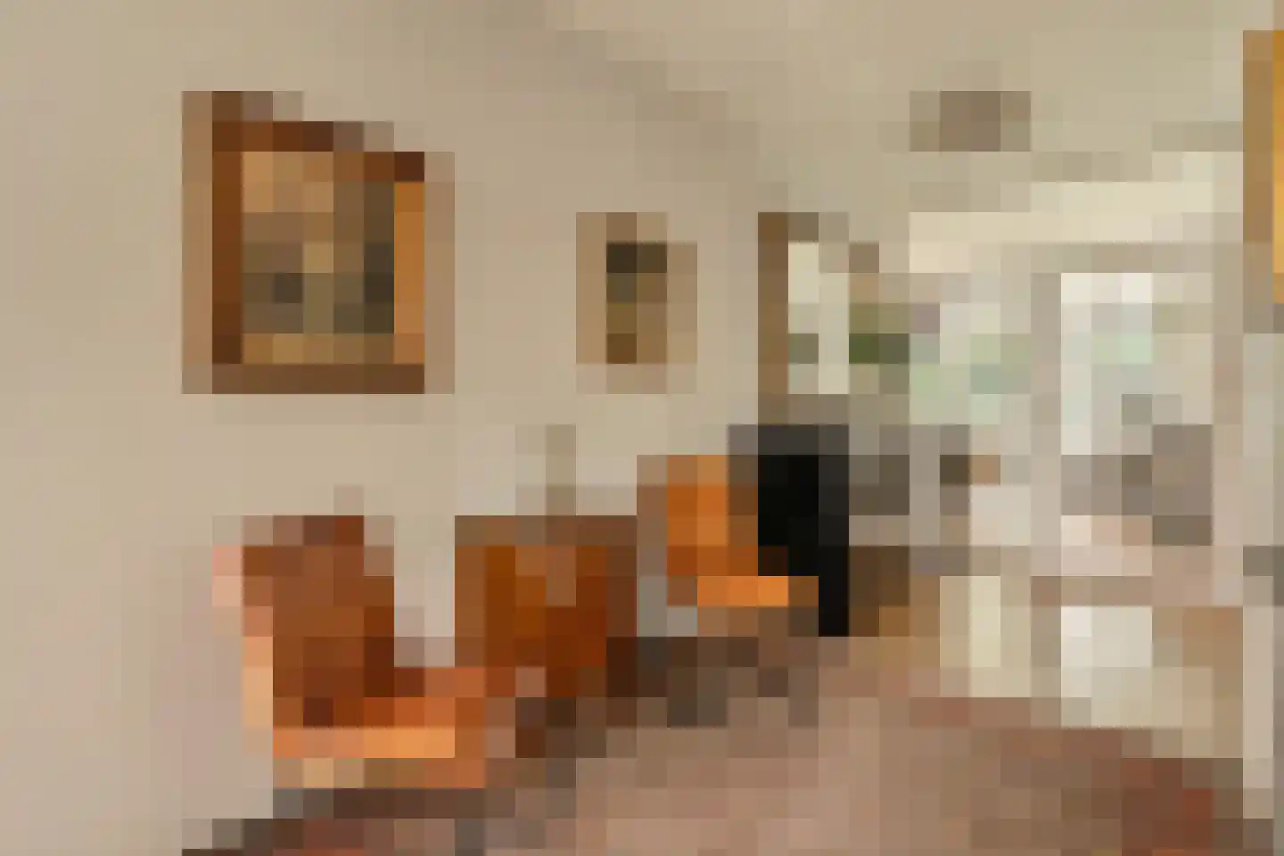 Pieter de Hoochstraat 7 B Amsterdam thumbnail 6