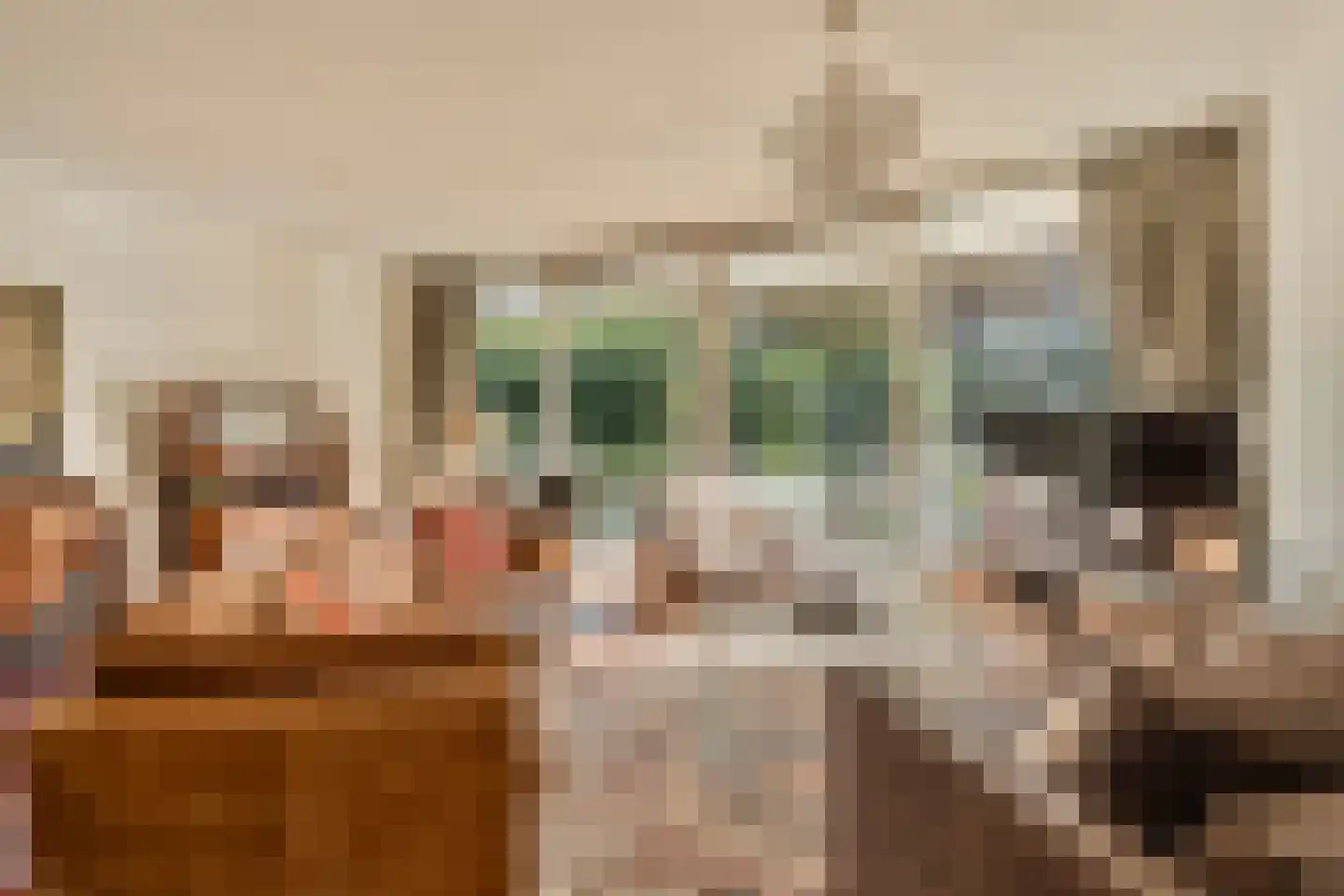 Pieter de Hoochstraat 7 B Amsterdam thumbnail 8