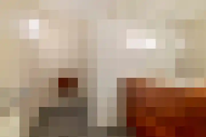 Pieter de Hoochstraat 7 C Amsterdam thumbnail 16