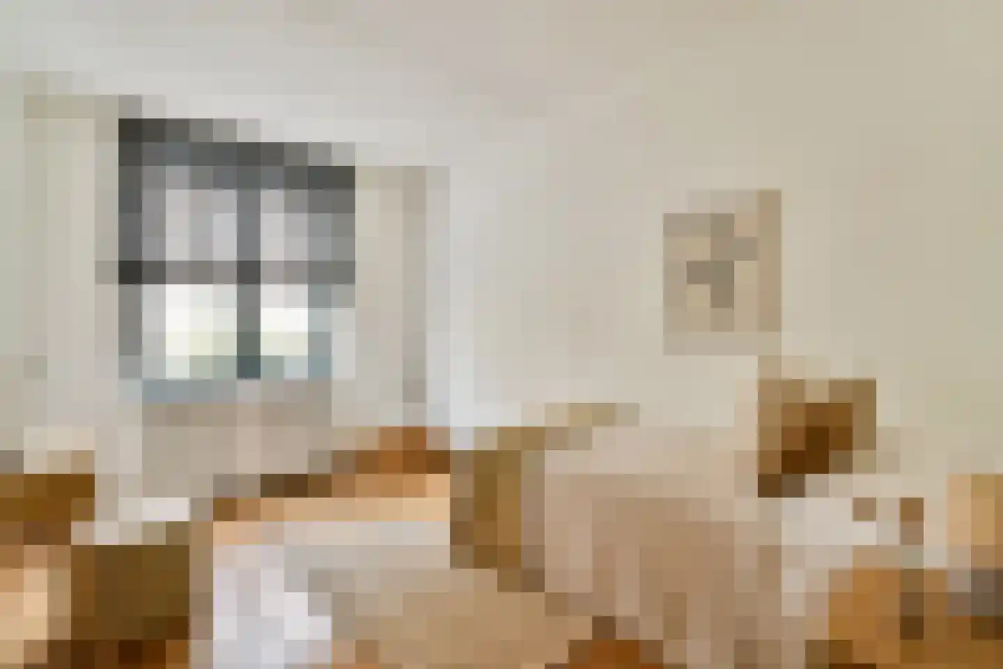 Pieter de Hoochstraat 7 G Amsterdam thumbnail 12