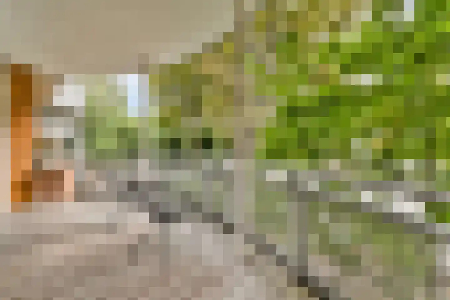 Pieter de Hoochstraat 7 G Amsterdam thumbnail 4