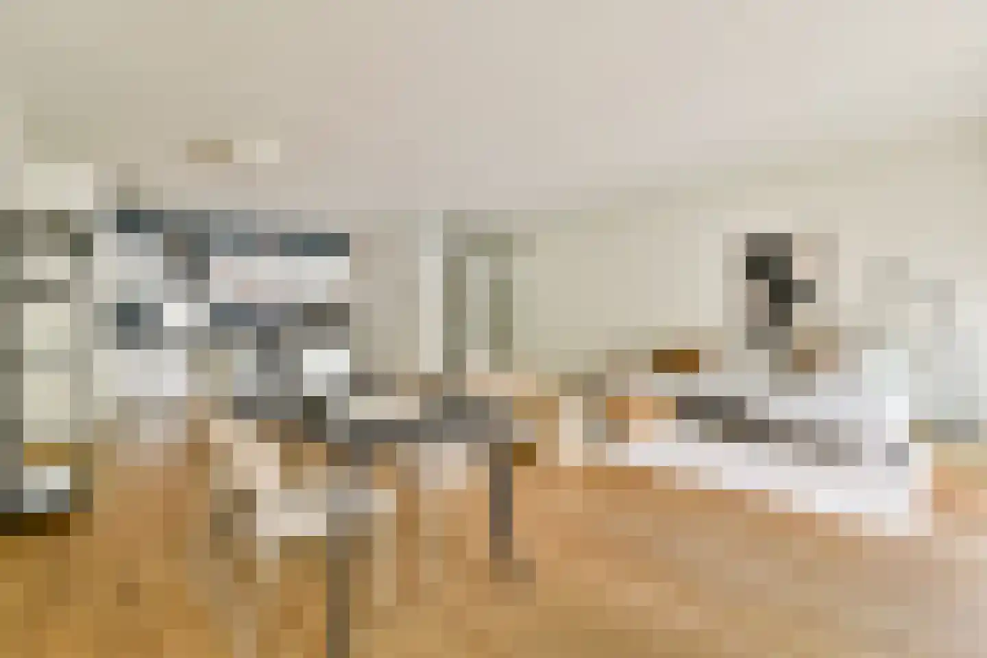 Pieter de Hoochstraat 7 G Amsterdam thumbnail 6