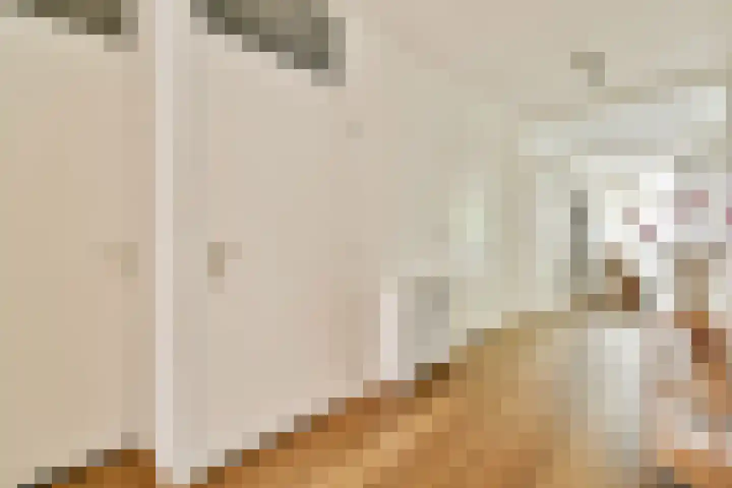 Pieter de Hoochstraat 7 G Amsterdam thumbnail 9