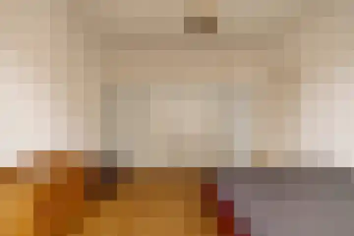 Pieter de Hoochstraat 74 4 Amsterdam thumbnail 35