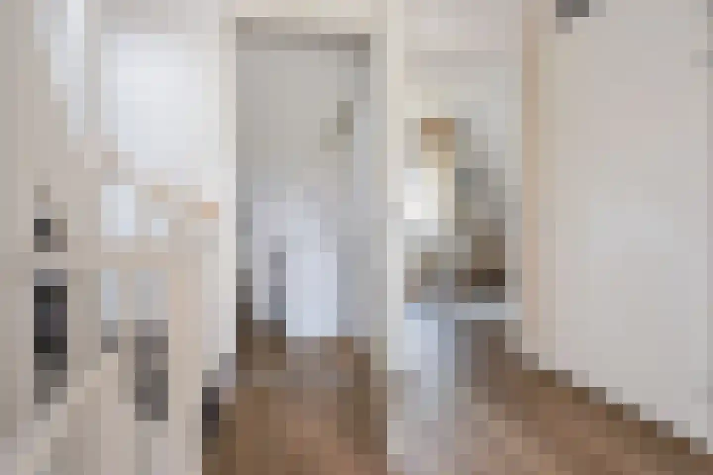 Pieter de Hoochstraat 82 Ommen thumbnail 20