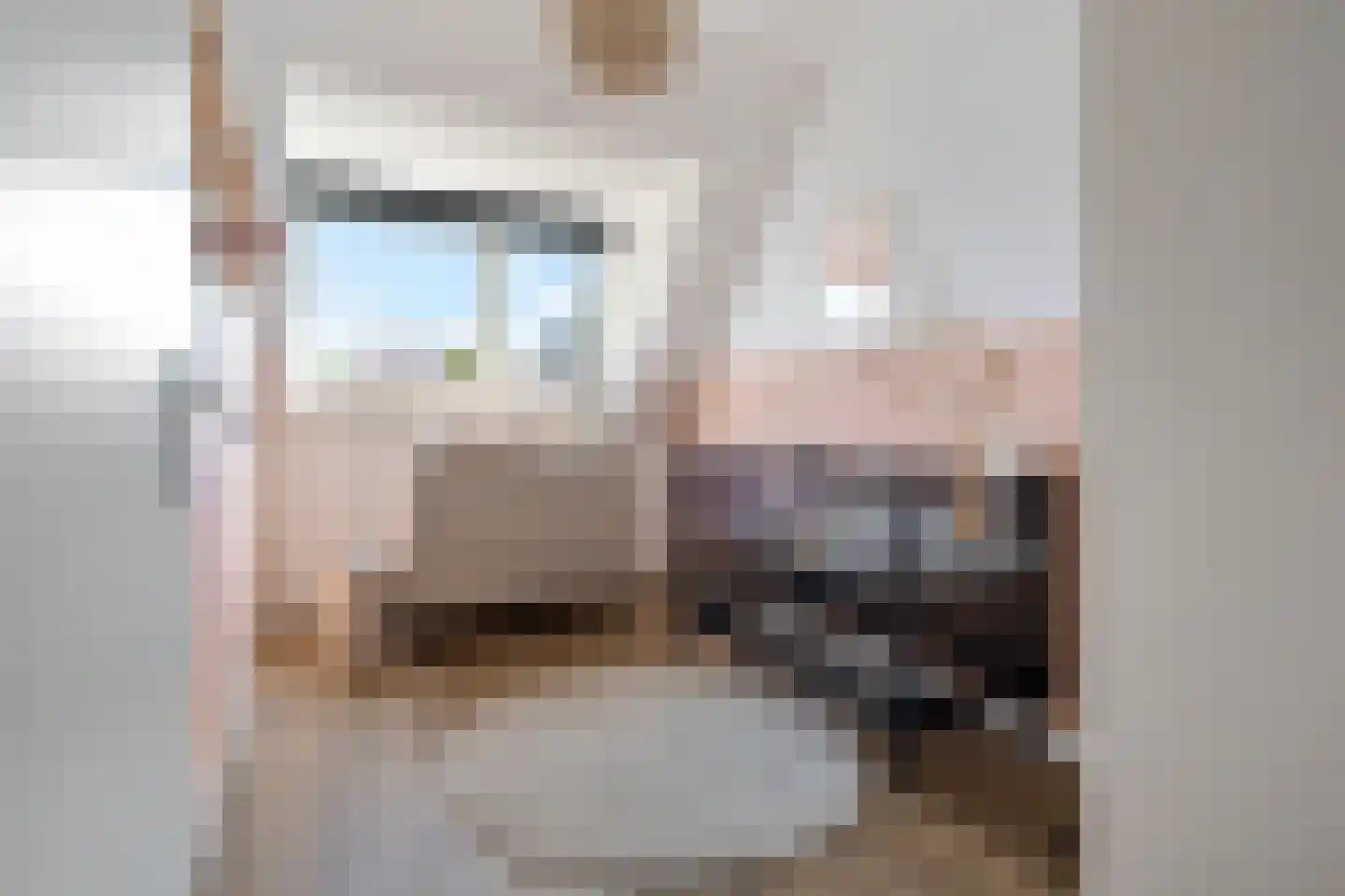 Pieter de Hoochstraat 82 Ommen thumbnail 24