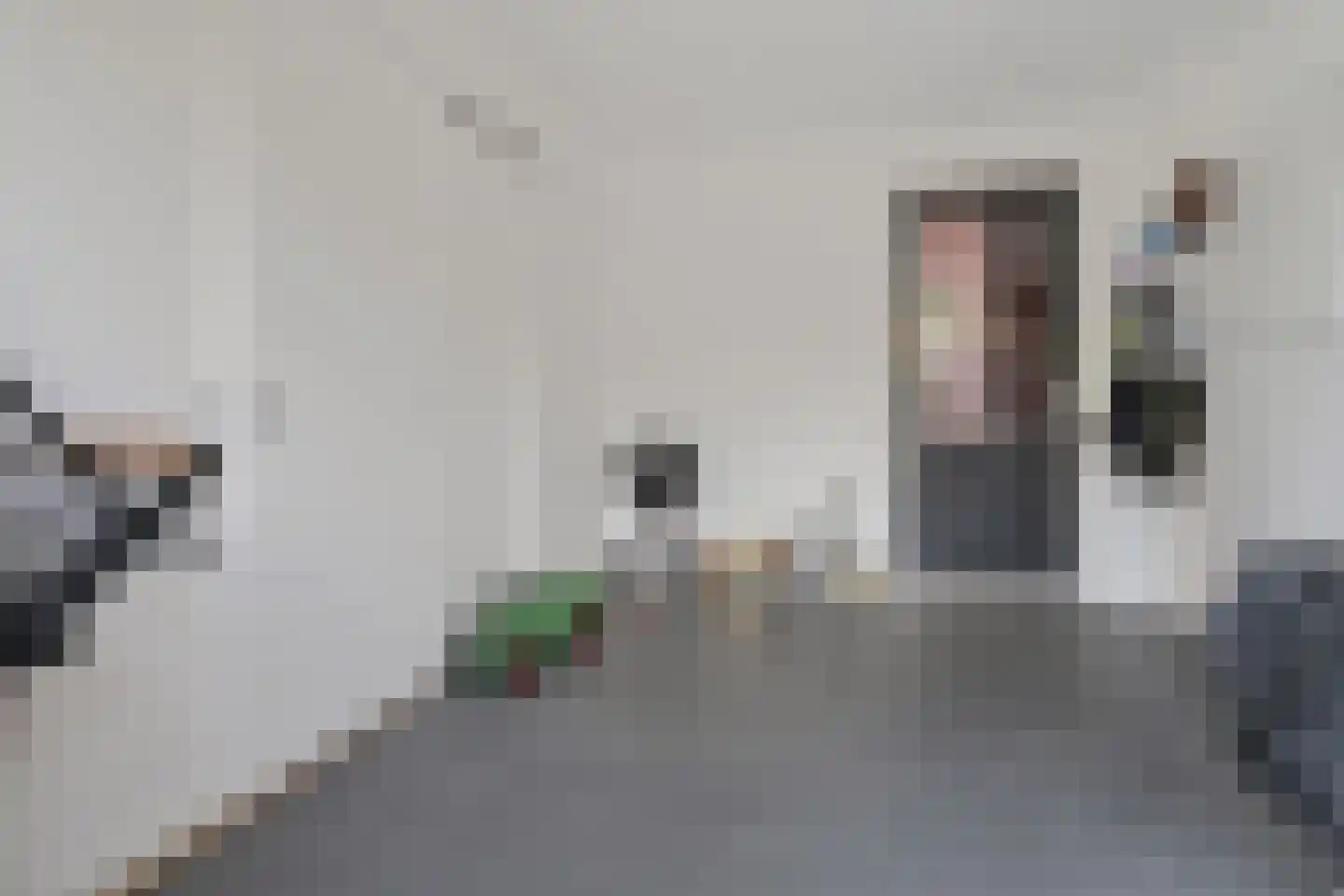 Pieter de Hoochstraat 82 Ommen thumbnail 36
