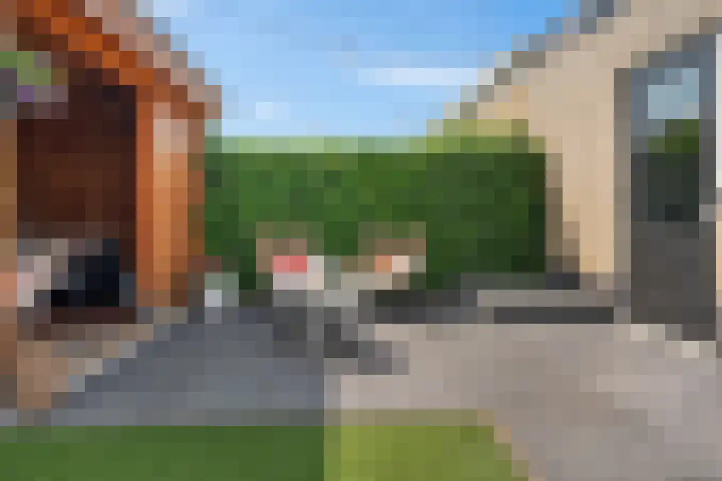 Pieter de Hoochstraat 82 Ommen thumbnail 40