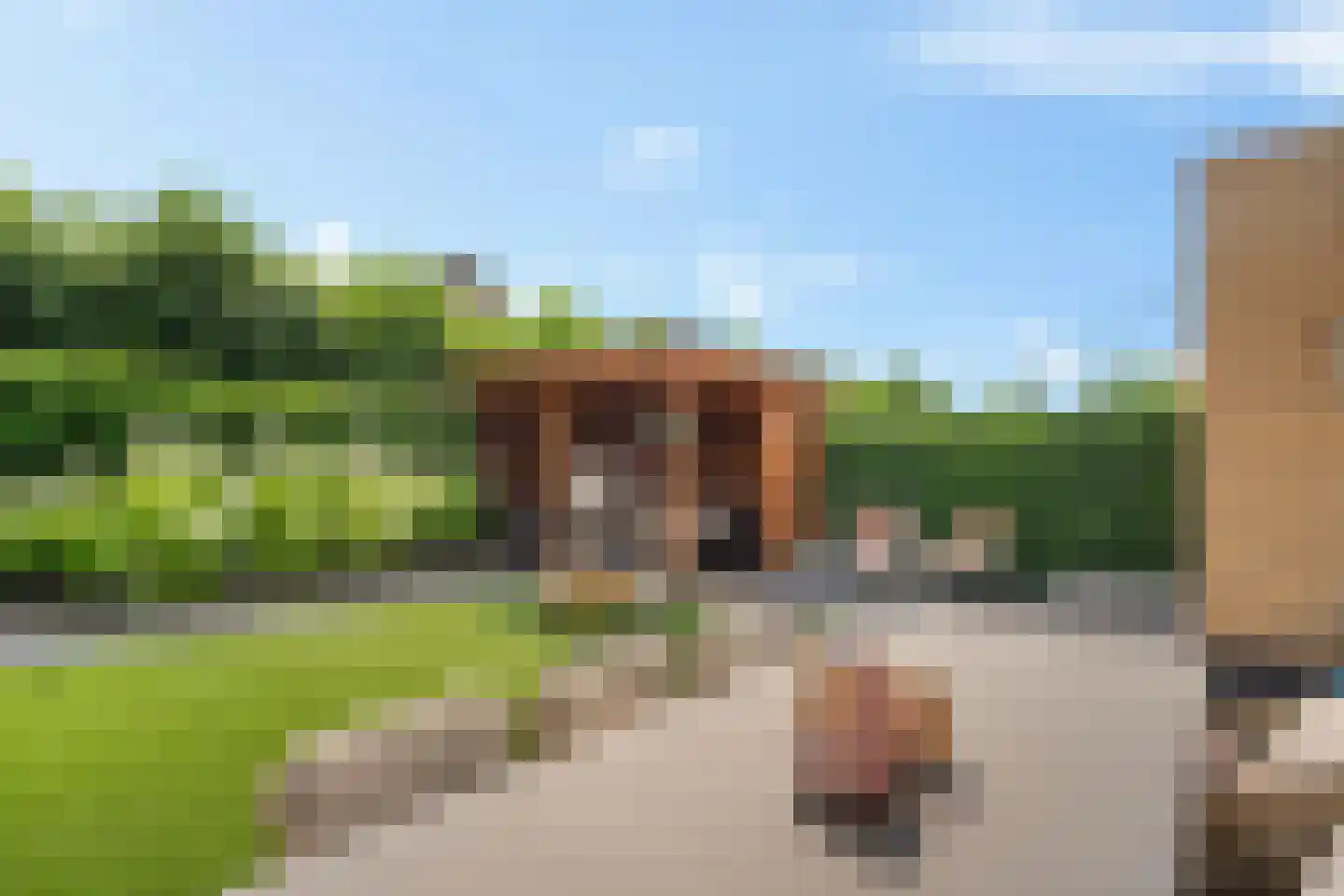 Pieter de Hoochstraat 82 Ommen thumbnail 49