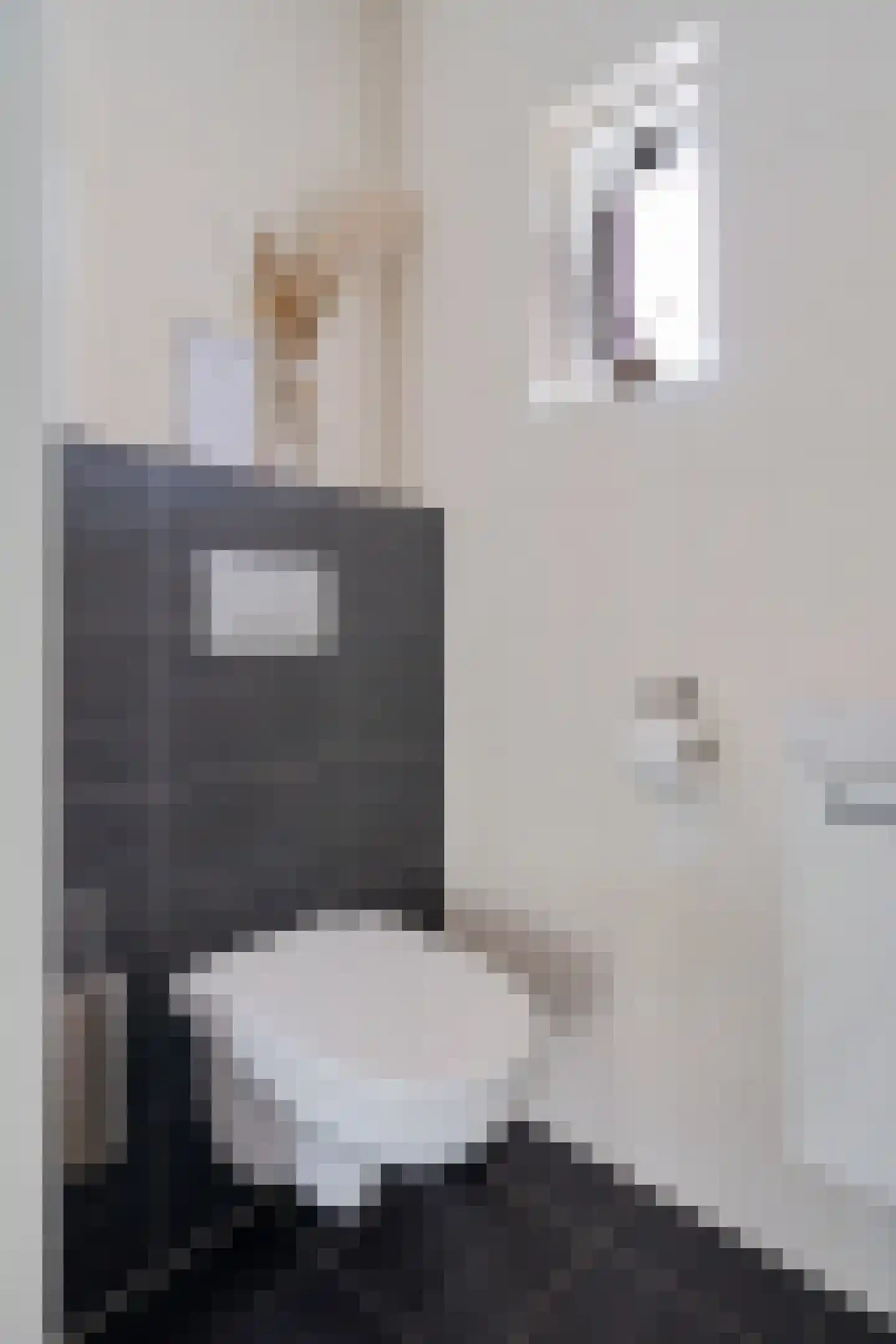 Pieter de Hoochstraat 82 Ommen thumbnail 5