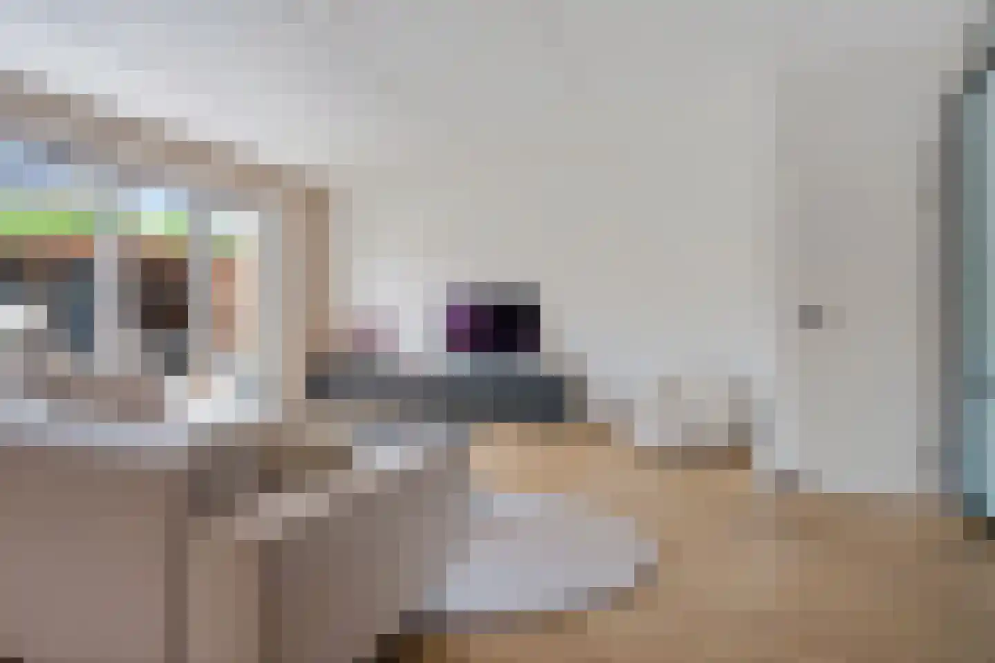 Pieter de Hoochstraat 82 Ommen thumbnail 8