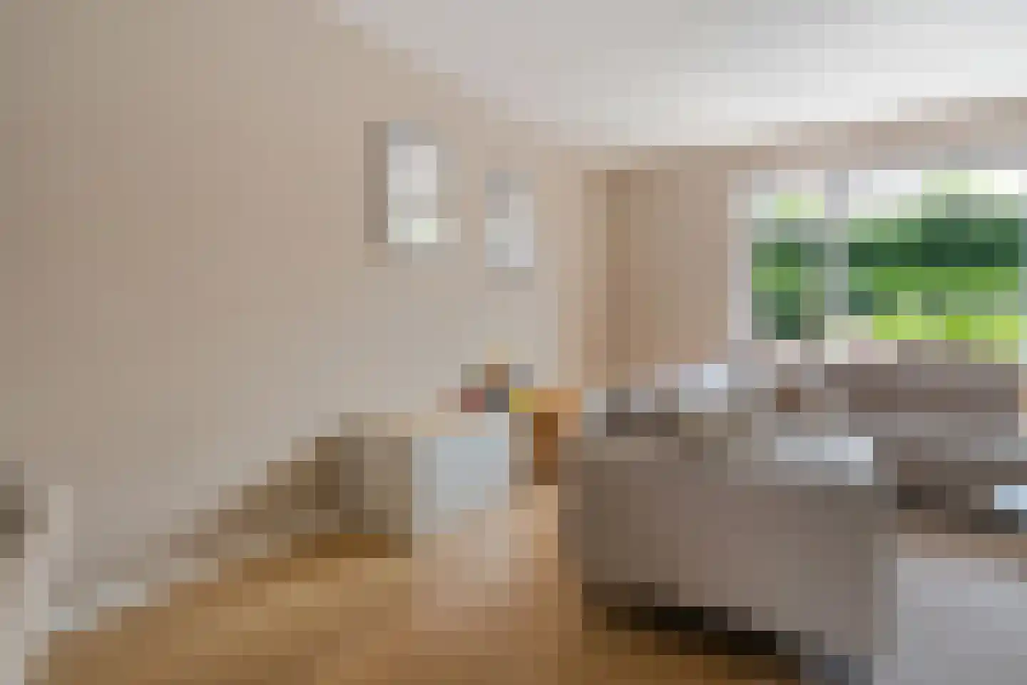 Pieter de Hoochstraat 82 Ommen thumbnail 9