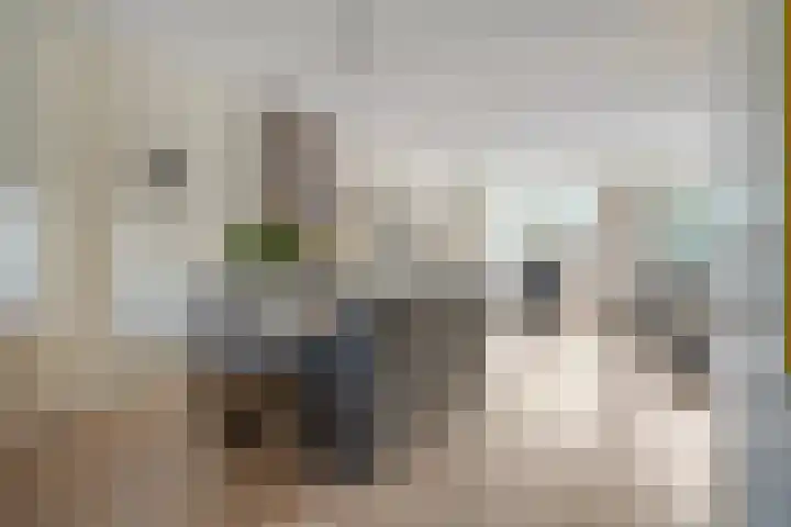 Pieter de Hoochstraat 84 Ommen thumbnail 13