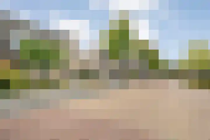 Pieter de Hoochstraat 84 Ommen thumbnail 6