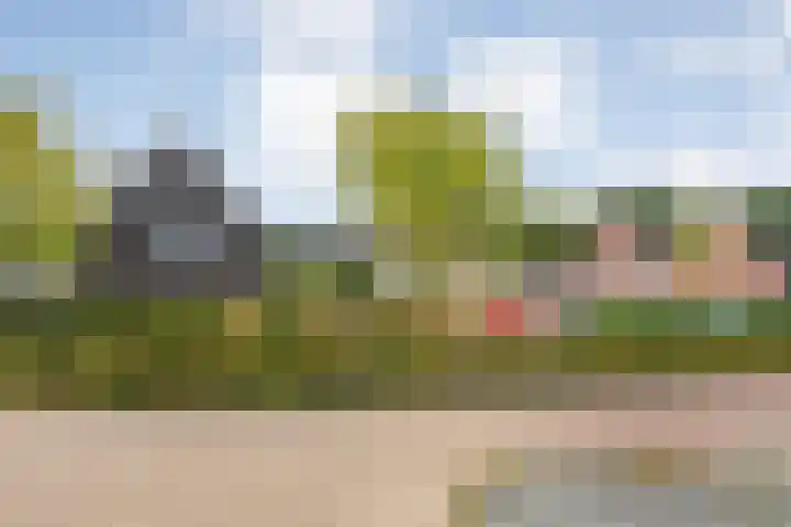 Pieter de Hoochstraat 84 Ommen thumbnail 7