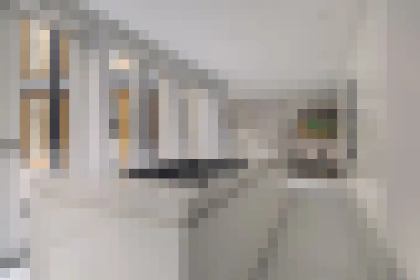 Pieter de Hoochstraat 9 A Amsterdam thumbnail 12
