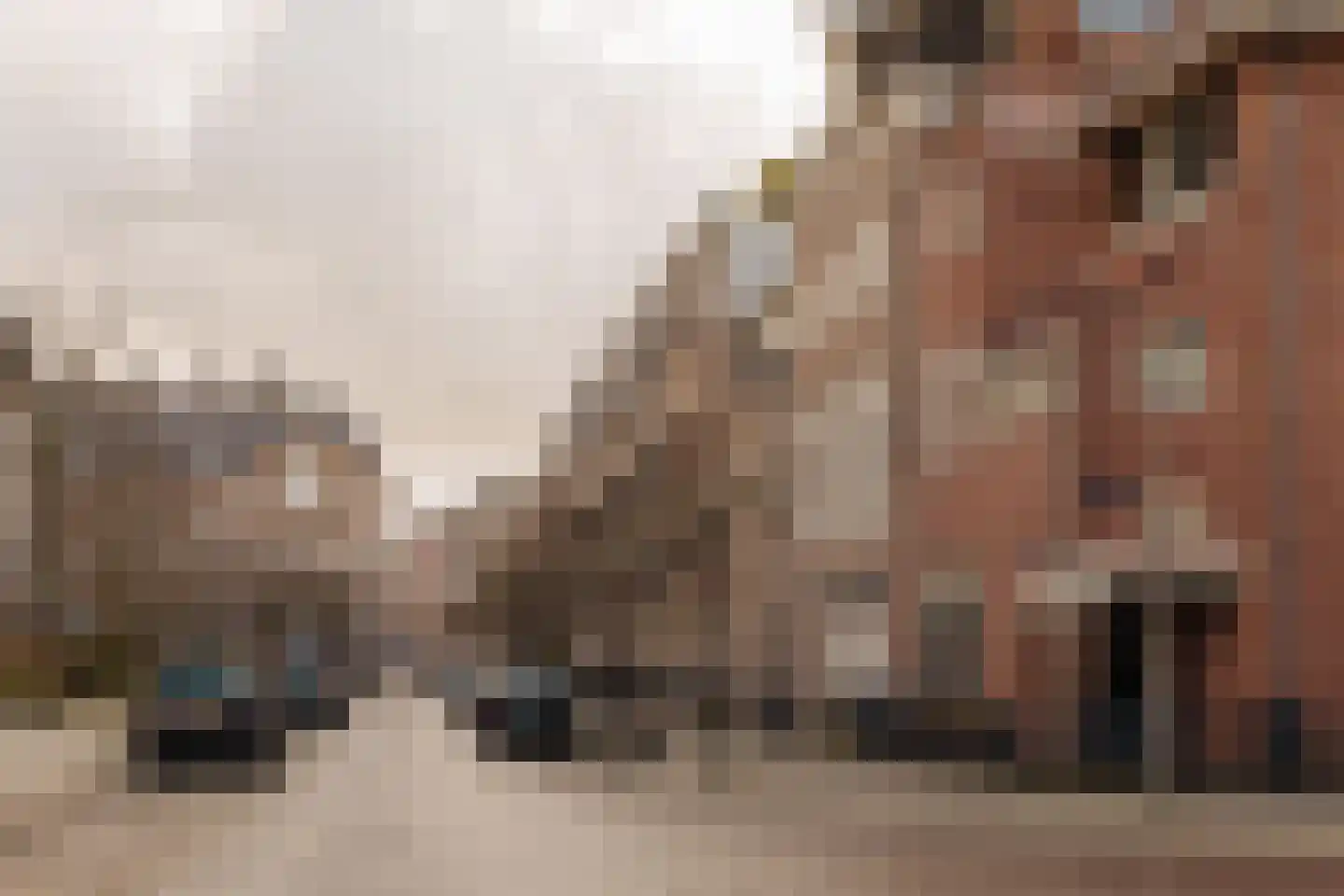 Pieter de Hoochstraat 9 A Amsterdam thumbnail 38