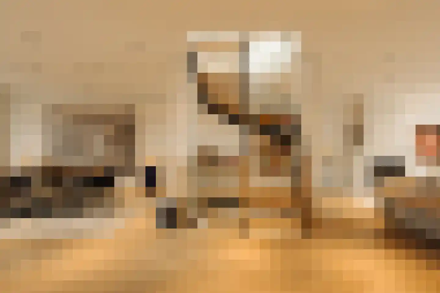 Pieter de Hoochstraat 9 E Amsterdam thumbnail 10