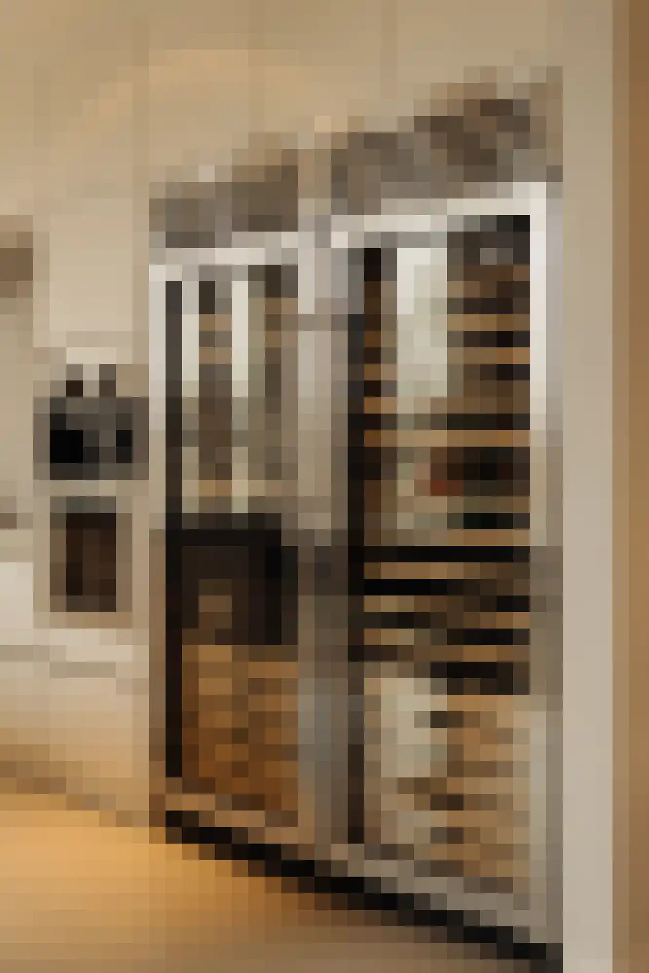 Pieter de Hoochstraat 9 E Amsterdam thumbnail 18