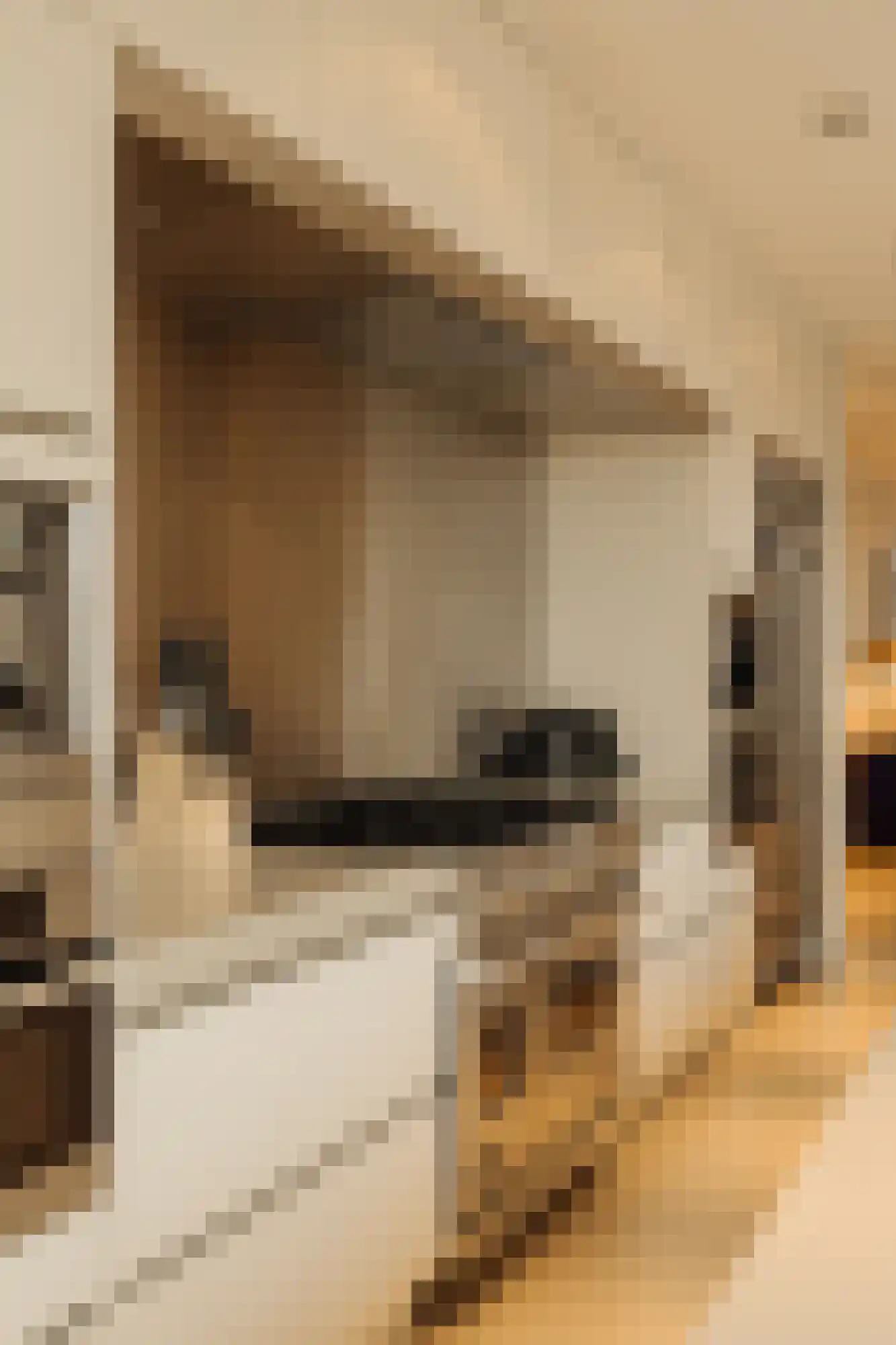 Pieter de Hoochstraat 9 E Amsterdam thumbnail 20