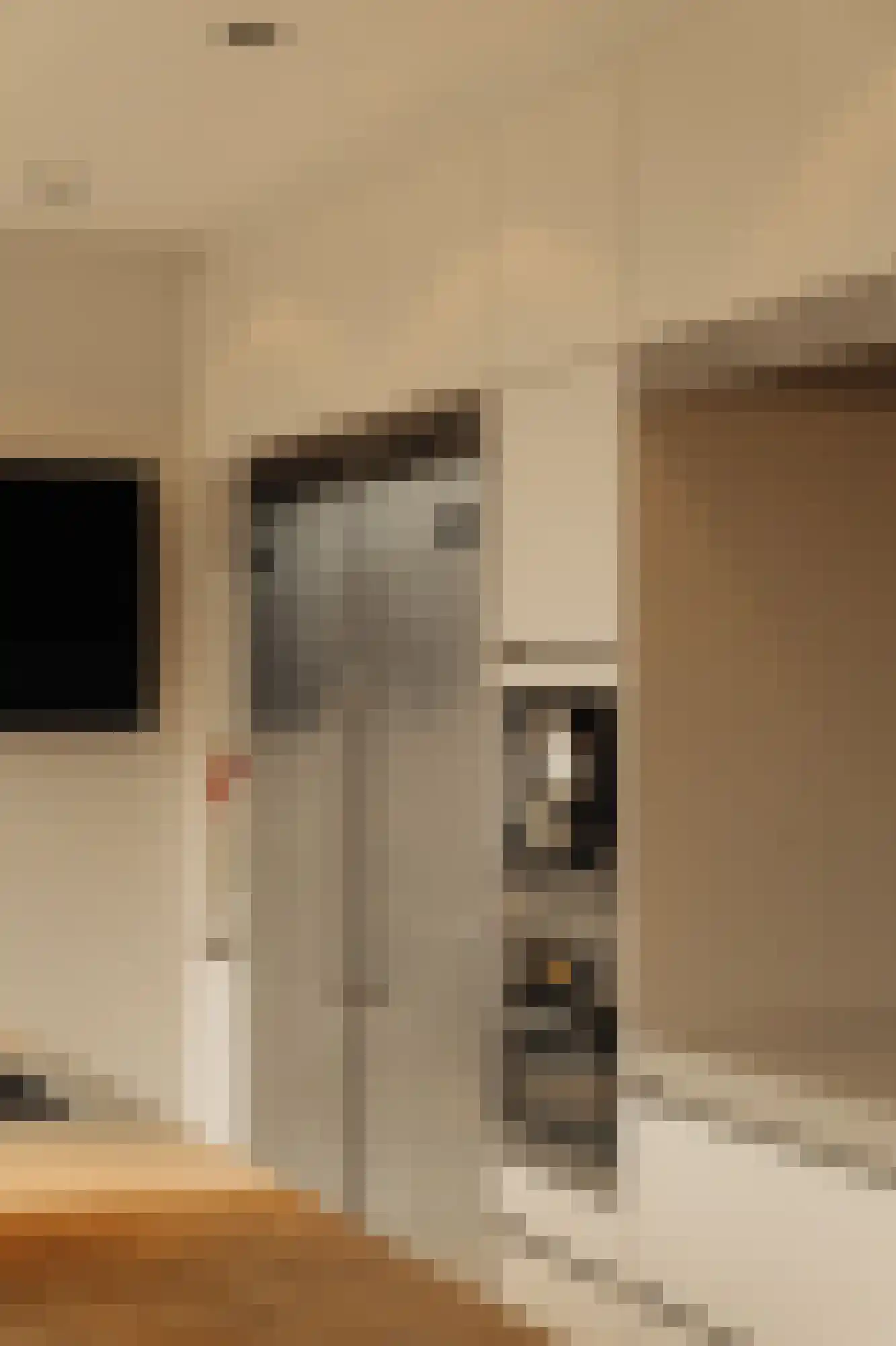 Pieter de Hoochstraat 9 E Amsterdam thumbnail 22